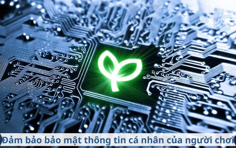 Mục tiêu chính sách bảo mật