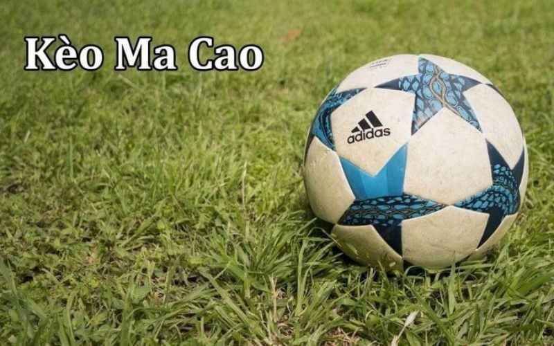 Những loại kèo ma cao nổi bật 