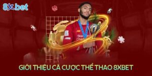 Thông tin thể thao 8xbet